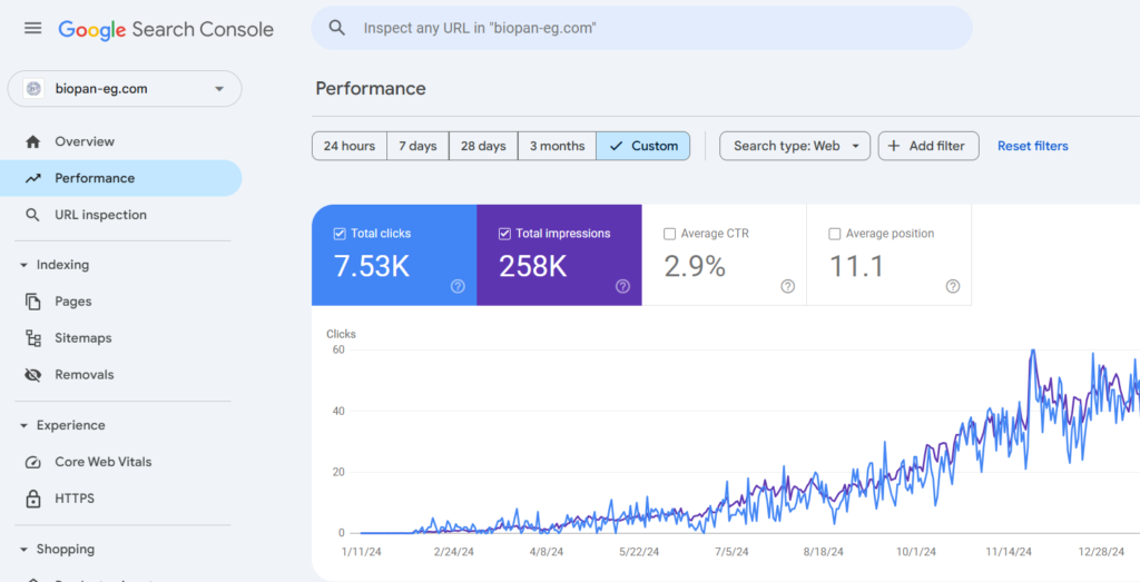 company website success story